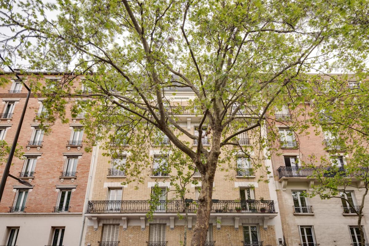 LOCAL COMERCIAL A VENDRE 